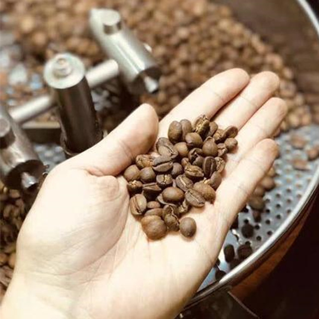 Lage Hoog Prijs Elektrisch Gas - kwaliteits Kleine Toper 5 het Bakselmachine van Kg Diedrich Coffee Bean Roaster Roasting met Steekproeflepel