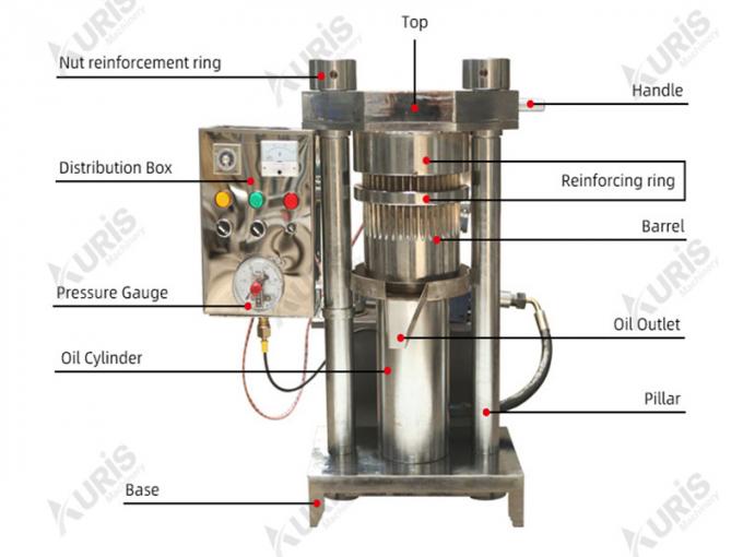 De verticale Thee van de de Dringende Machineokkernoot van de Sesam Hydraulische Olie ziet Zonnebloem het Uitdrijven 3