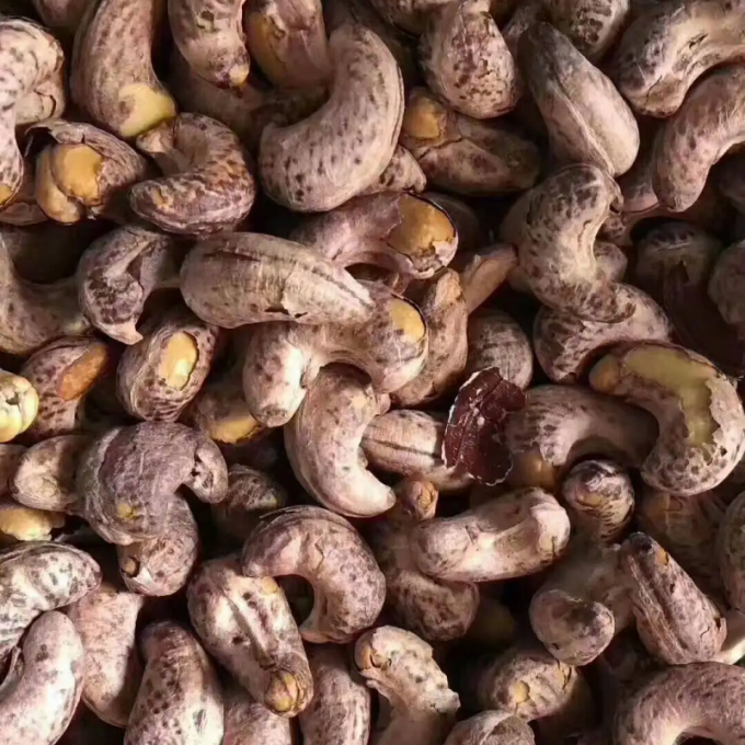 Commerciële van de de Productielijncashewnoot van de Cachouverwerking van de de Nivelleermachineschiller van de het Schilmesjegrill de Cashewnootproductielijn