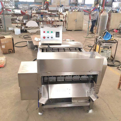 De bevroren Hairtail-Machines die van de Vissenverwerking de Machine van de Vissensnijmachine fileren