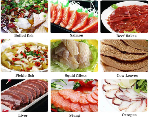 De diagonale Automatische Karper Salmon Slicing Fish Deboning Machine van de Vissensnijmachine