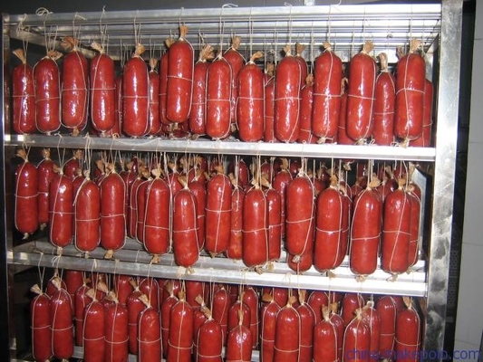 van de het Vleesroker van 100kg Bacth van de de Machine100kg/h Worst het Rookhokoven