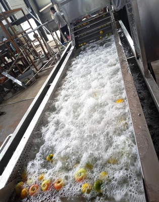 Pit het Bleken Noten die de Machine van de de Cashewnootschil van de Machineokkernoot verwerken
