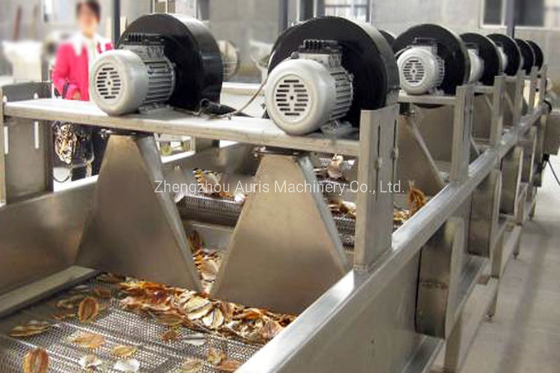 Pit het Bleken Noten die de Machine van de de Cashewnootschil van de Machineokkernoot verwerken