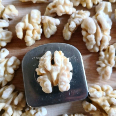 Pit het Bleken Noten die de Machine van de de Cashewnootschil van de Machineokkernoot verwerken