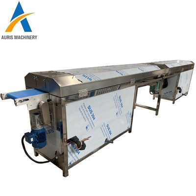 Het hullen van van het het Koekjessuikergoed van de Chocolade Aanmakende Machine Vormende de Machine Koeltunnel