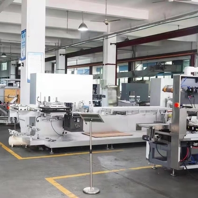 Intelligente Volledige Automatische de Machinelcd van de Hoofdkussenverpakking Vertoningsplc Controle